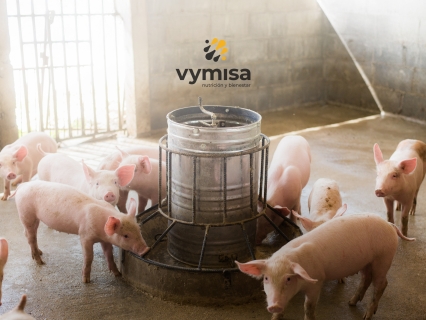 Vymisa feed-industry company – Kemiex customer story
