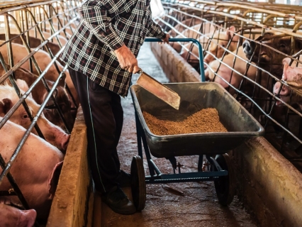 Map showing ASF outbreak zones near Barcelona with highlighted containment areas and affected wild boar populations, illustrating potential market disruption in the European pork supply chain - Kemiex