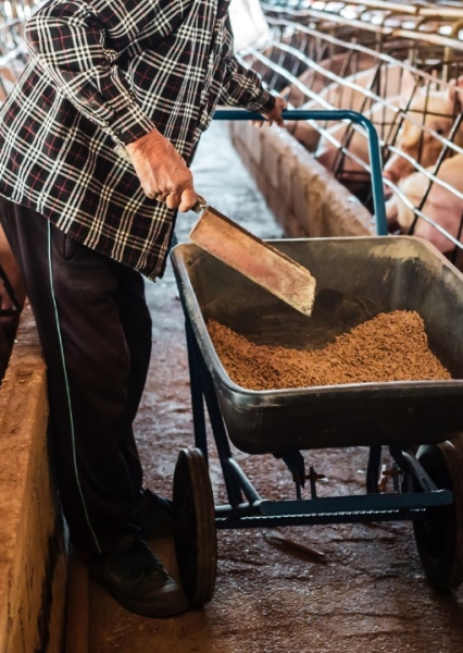 Map showing ASF outbreak zones near Barcelona with highlighted containment areas and affected wild boar populations, illustrating potential market disruption in the European pork supply chain - Kemiex