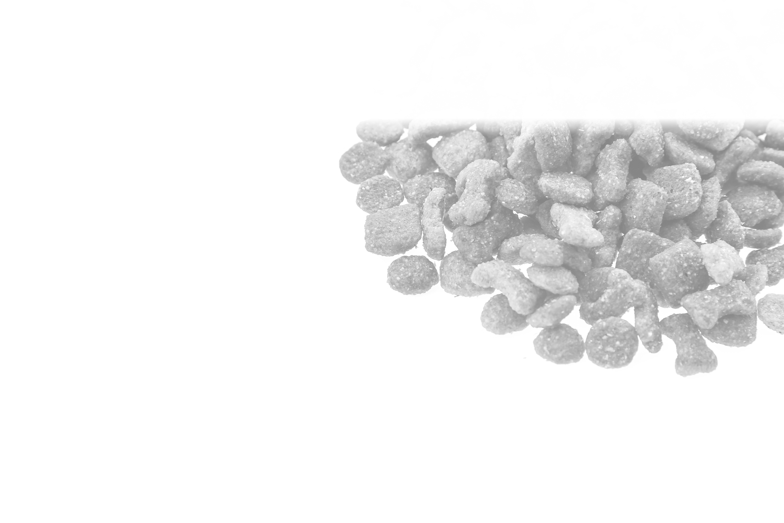 Pet Food Additives