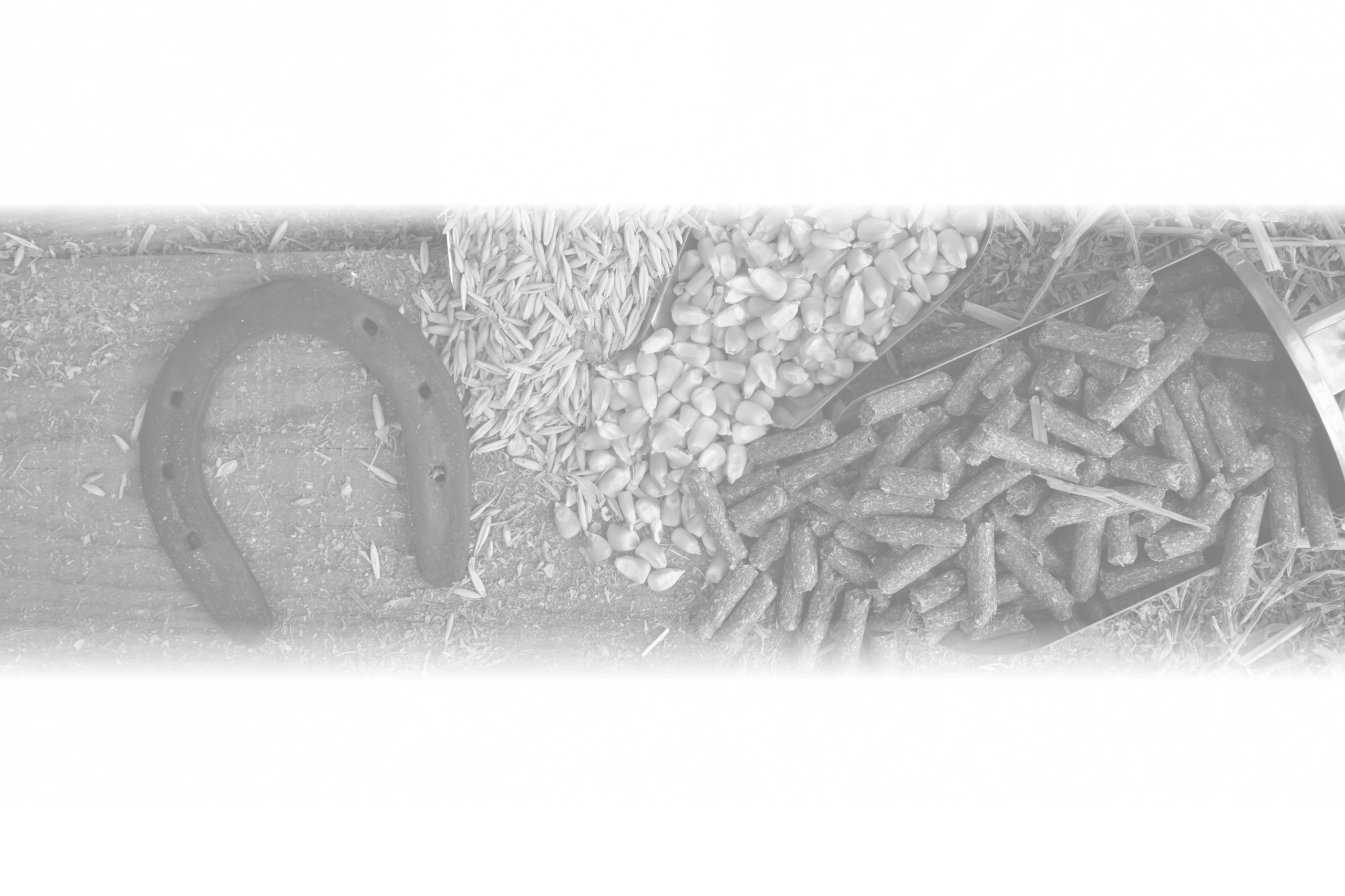 VitaFoods 2026 Attendees